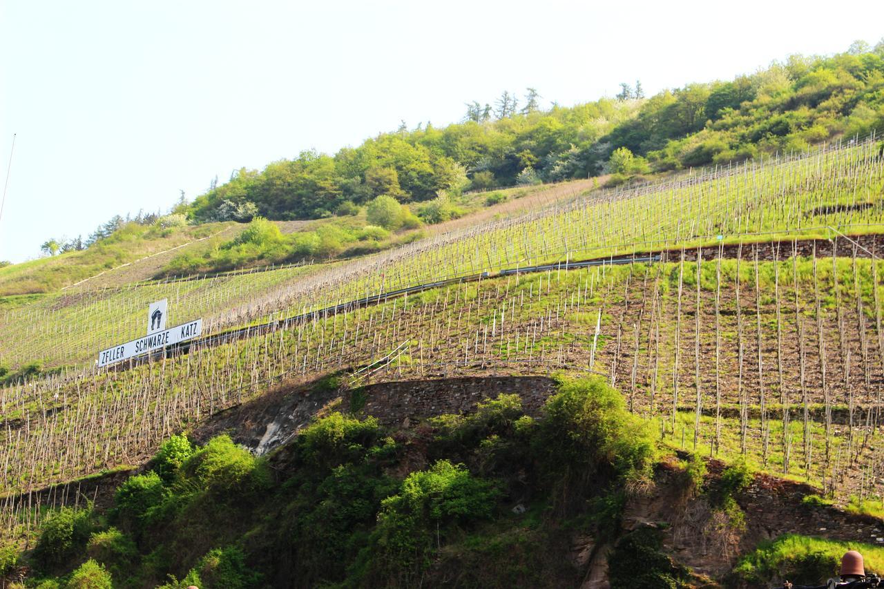 Pension Adelheid Moselhype&Wine 첼 안 데어 모젤 외부 사진